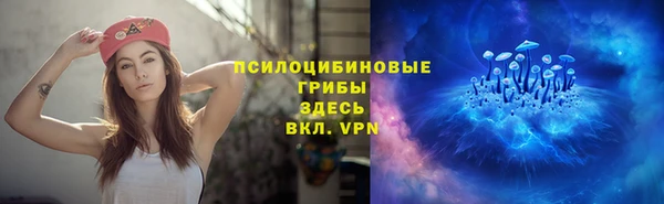 экстази Алексин